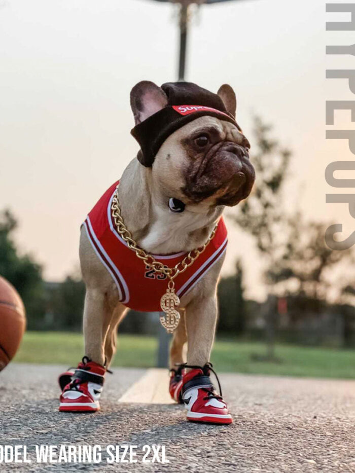 French bulldog wearing red Air Bud basketball jersey with matching sneakers