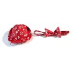 Red monogram bucket hat and bow tie set Louis Vuitton inspired flat lay