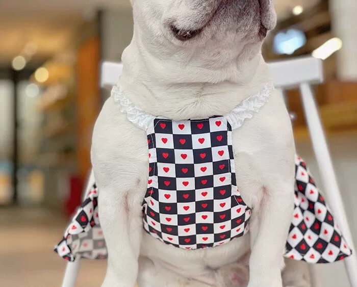 White French Bulldog wearing black checkered heart pattern dress with bow tie waist