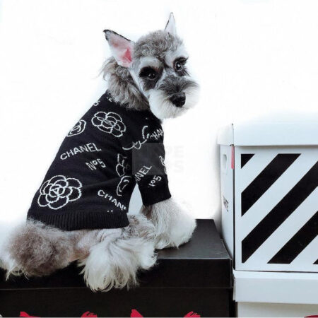 Black designer dog sweater with Chanel-inspired text and logo details on gray schnauzer