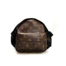 Brown monogram dog backpack Louis Vuitton style front view with V pattern
