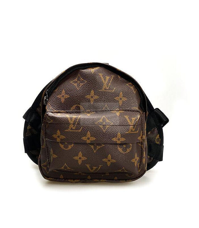 Brown monogram dog backpack Louis Vuitton style front view with V pattern