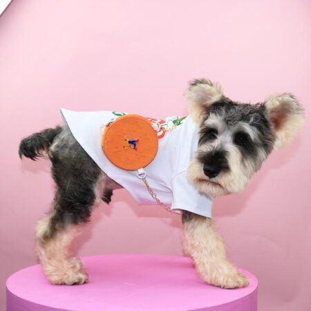 Small dog wearing white tee with orange V monogram crossbody bag attached to harness