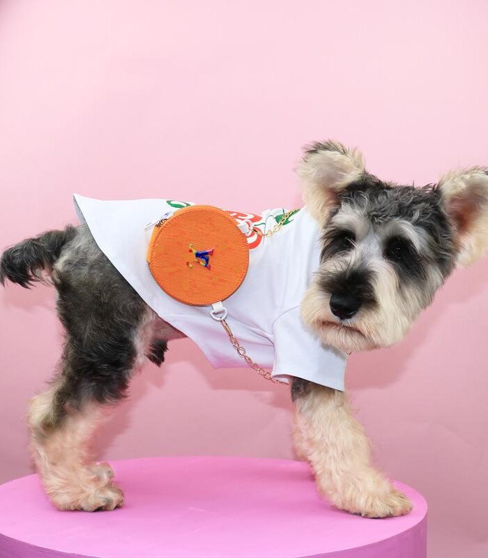 Small dog wearing white tee with orange V monogram crossbody bag attached to harness