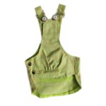 Green monogram dog overalls with daisy hardware and adjustable straps Louis Vuitton style