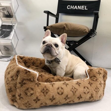 French bulldog sitting in brown V monogram dog bed luxury pet furniture