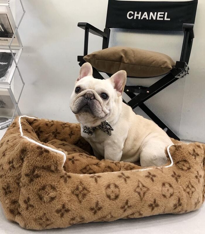 French bulldog sitting in brown V monogram dog bed luxury pet furniture