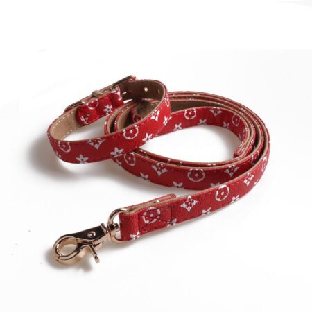 Red faux leather dog collar and leash set with Louis Vuitton inspired V monogram print