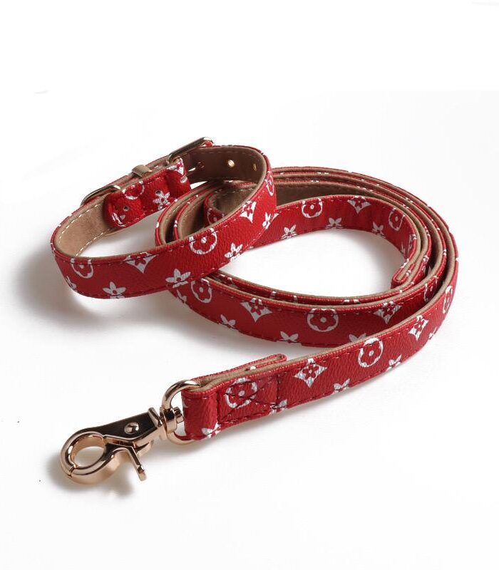 Red faux leather dog collar and leash set with Louis Vuitton inspired V monogram print