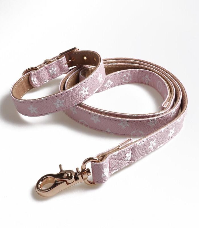Pink faux leather dog collar and leash with V monogram pattern on white background