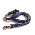 Blue faux leather dog collar and leash featuring V monogram print and gold hardware