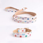White dog collar and leash with multicolor V monogram print Louis Vuitton inspired