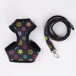 Black monogram dog harness and leash set with multicolor Louis Vuitton style print