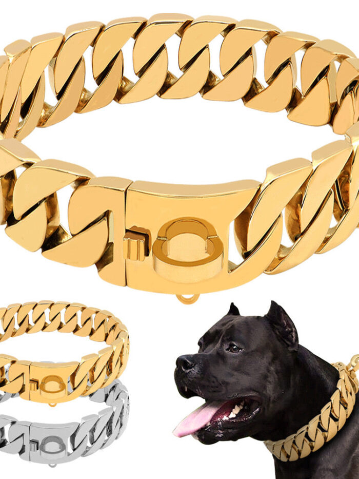 Gold Cuban link chain dog collar with 30mm links and secure clasp closure