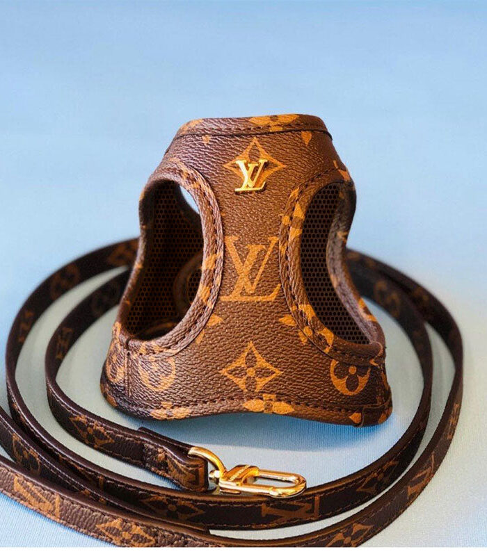 Chewy V monogram harness showing structured body and gold hardware details