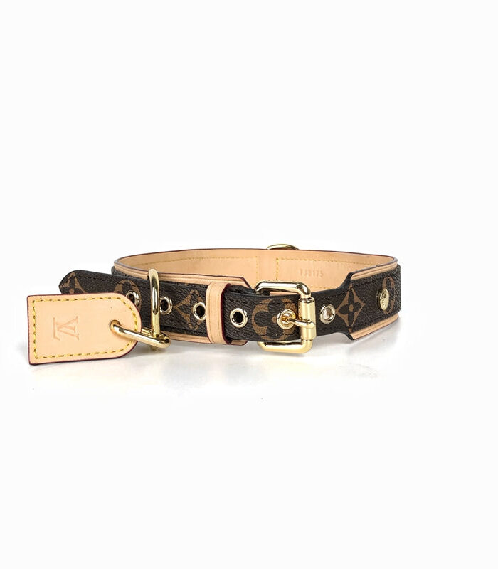 Brown monogram dog collar with tan leather trim Louis Vuitton style gold buckle