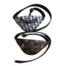 Two designer monogram dog bum bags with oblique and V-print patterns on white background
