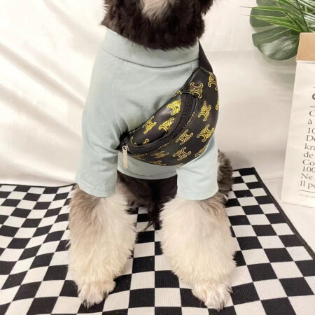 Small dog wearing mint green hoodie with black and gold monogram fanny pack across chest