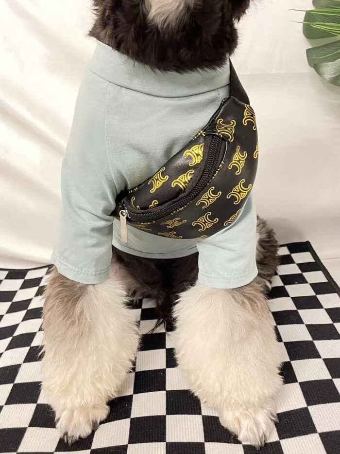 Small dog wearing mint green hoodie with black and gold monogram fanny pack across chest