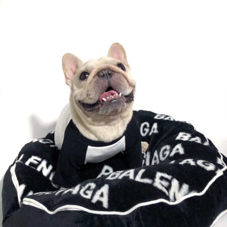 French Bulldog lying in black faux fur Balenciaga-inspired logo bed with white text pattern
