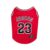 Air Bud Basketball Jersey - Jordan