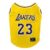 Air Bud Basketball Jersey - James