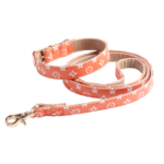Orange V monogram dog collar and leash set designer walking gear flat lay