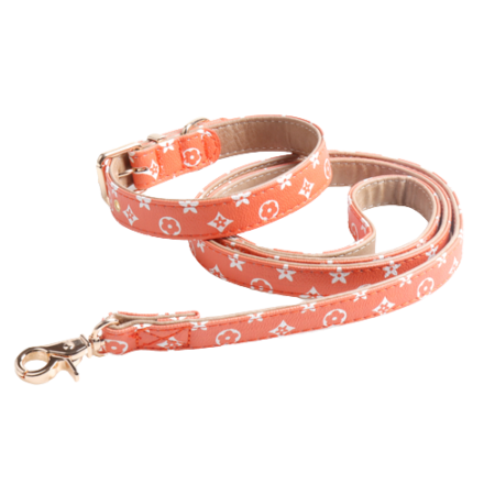 Orange V monogram dog collar and leash set designer walking gear flat lay