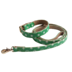 Green V monogram dog collar and leash set luxury dog accessories