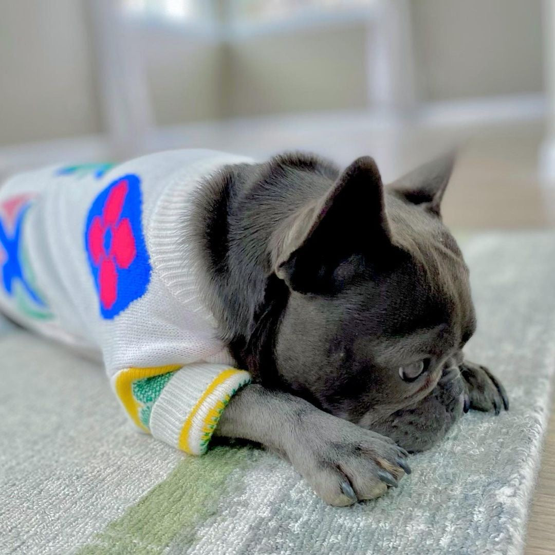 Close-up of white knit dog sweater showing colorful flower monogram details