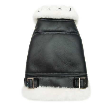 Back view of black shearling dog jacket with white fur lining and buckle details