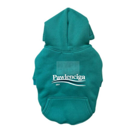Back view of teal Pawlenciaga dog hoodie showing logo placement and fit
