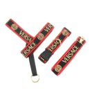 Black and red dog harness set with Versace text and gold medusa logos on white background