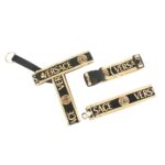Black and gold dog walking set with Versace branding and medusa medallions flat lay