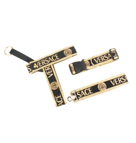 Black and gold dog walking set with Versace branding and medusa medallions flat lay