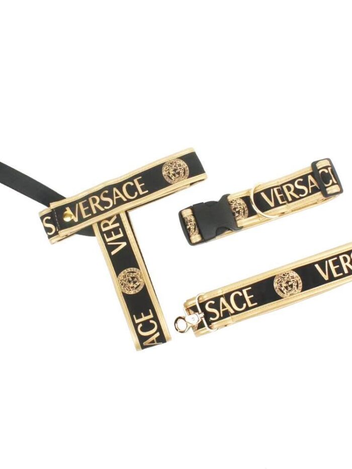 Black and gold dog walking set with Versace branding and medusa medallions flat lay