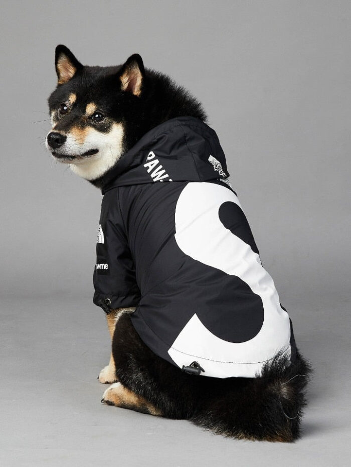 Black dog wearing Pupreme x TDF windbreaker with reflective strips and mountain logo details