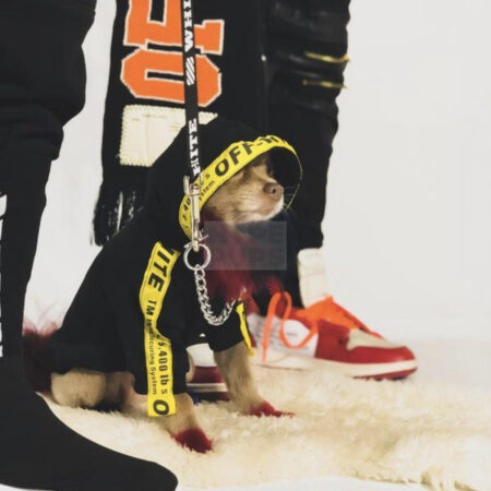 Small dog wearing black Woof-White hoodie with yellow straps and chain details