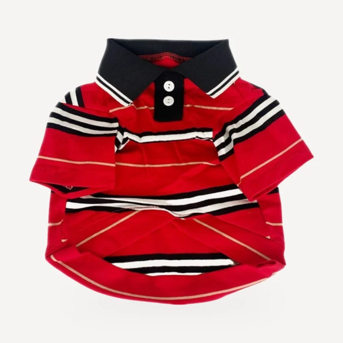 Stripe dog polo inspired by Burberry view 5