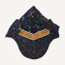 Black Rainbow Monogram dog cape inspired by Louis Vuitton view 6