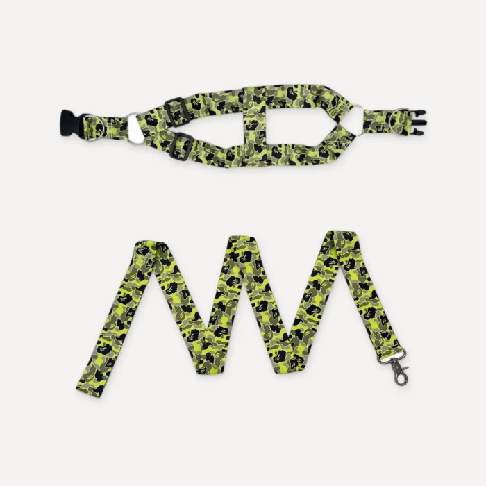 Blue Camo Walking dog set inspired by BAPE view 2