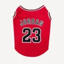 23 dog jersey inspired by Jordan view 3