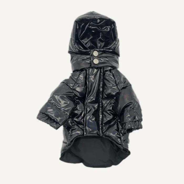 Puffer dog jacket inspired by Moncler view 5