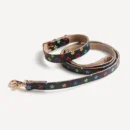 Collar & Leash dog set inspired by Louis Vuitton