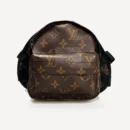 Monogram Dog dog backpack inspired by Louis Vuitton view 3