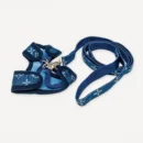 Monogram Harness & Leash dog set inspired by Louis Vuitton