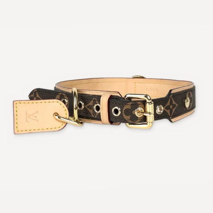 Walking dog set inspired by Louis Vuitton view 4