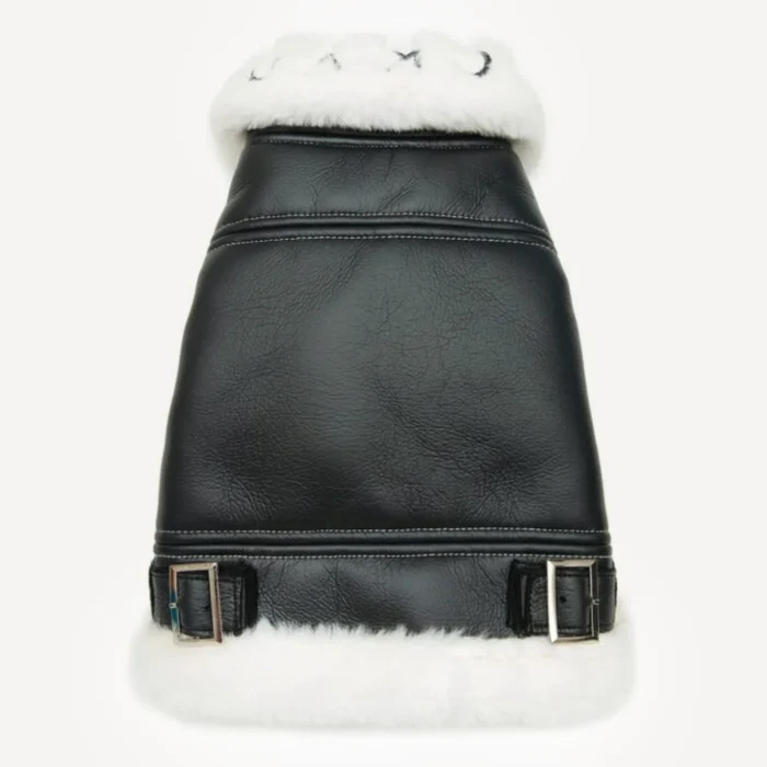 Shearling dog jacket inspired by Chrome Hearts view 4