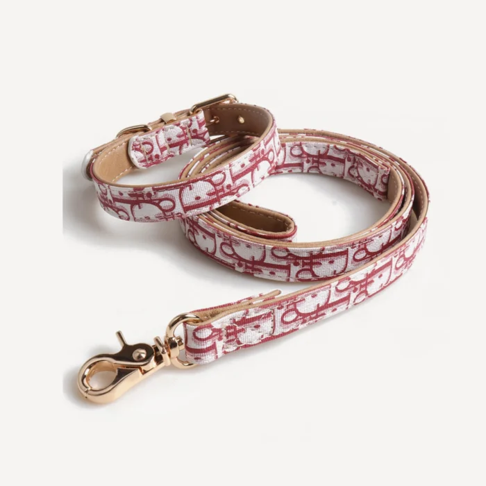 Collar & Leash dog set inspired by Dior view 3