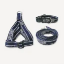 Dreamy Collar Harness Leash dog set inspired by Dior view 6